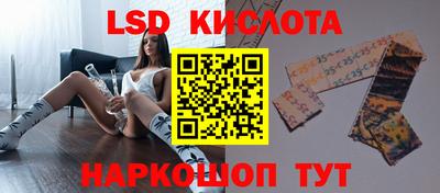 spice Тара
