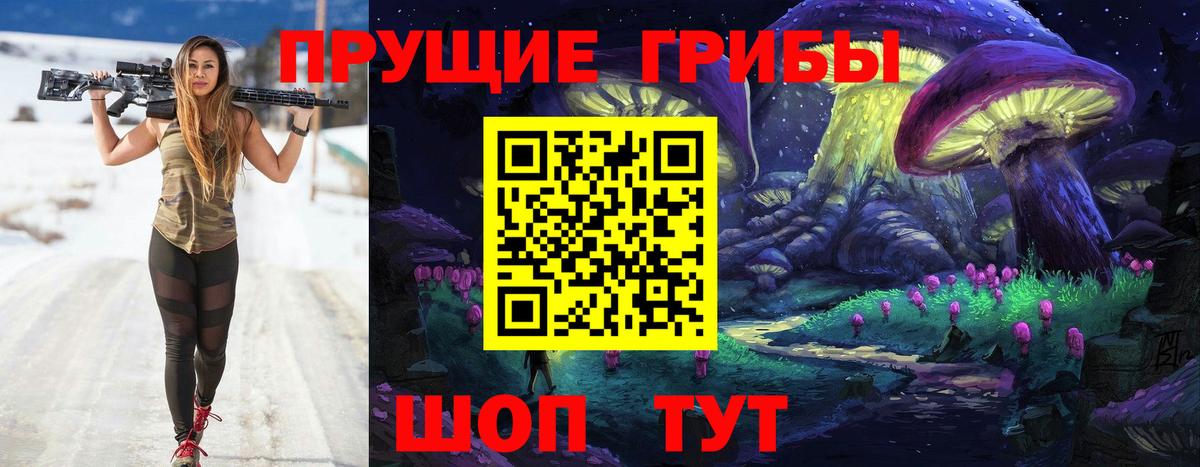 Галлюциногенные грибы Psilocybine cubensis Мурманск