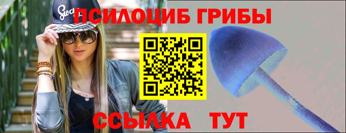 Галлюциногенные грибы прущие грибы  Вход с VPN  Галлюциногенные грибы Cubensis  Мурманск 